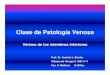 Clase de Patología Venosa