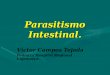 Parasitismo Intestinal 2015