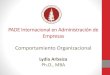 Trabajo Comp. Organizacional - Peruano Tipico (1)