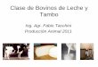 Bovinos de Leche y Tambo 2011