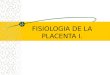 Fisiologia de La Placenta i