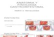 Anatomia y Fisiología Gastorintestinal Parte II