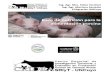 Bases y Fases Alimentación Porcinos Alvear 2012