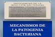 Patogénesis de La Infección Bacteriana (1)