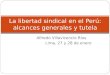 Libertad Sindical en El Perú