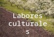 9. Labores culturales
