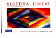 Bernard Kolman, David R. Hill-Álgebra Lineal (8va edicion). v.español