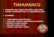 Tiahuanaco arquitectura