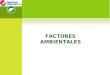 FACTORES AMBIENTALES .ppt