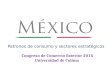 Patrones de consumo y sectores estratégicos Patrones de consumo y sectores estratégicos Congreso de Comercio Exterior 2015 Universidad de Colima