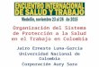 Organización del Sistema de Protección a la Salud en el Trabajo en Colombia Jairo Ernesto Luna-García Universidad Nacional de Colombia Corporación Aury