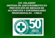 XIV JOLASEHT SISTEMA DE ASEGURAMIENTO EN PREVENCIÒN DE RIESGOS DE ACCIDENTES Y ENFERMEDADES PROFESIONALES - CHILE