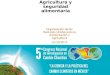 Agricultura y seguridad alimentaria Organización de las Naciones Unidas para la Alimentación y Agricultura 14/10/2015