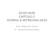 ECOM-6030 CAPÍTULO 2 STORING & RETRIEVING DATA Prof. Nelliud D. Torres © - Derechos Reservados