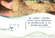 El suelo: aliado clave para aumentar la producción y la productividad Martín Zúñiga Director Ejecutivo para CA&C CropLife Latin America 26.NOV.2015