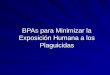 BPAs para Minimizar la Exposición Humana a los Plaguicidas