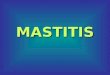 MASTITIS. CONCEPTO de MASTITIS Es toda inflamación de la glándula mamaria, es la enfermedad que más pérdidas produce