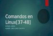 Comandos en Linux[37-48] MATERIA : REDES ALUMNO : ERICK LOPEZ CHICATTO