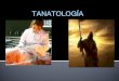 Tanatologia; deriva del nombre griego Thanatos: muerte y Logos: estudio. Es decir se refiere al estudio científico de los fenómenos referentes a la