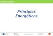 Principios Energéticos Principios energéticos 