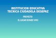 INSTITUCION EDUCATIVA TECNICA CIUDADELA DESEPAZ PROYECTO EL LUGAR DONDE VIVO