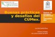Buenas prácticas y desafíos del CUMex. Luis Del Castillo Mora Pachuca, Hidalgo 19 y 20 de octubre de 2015 Padrón de Cuerpos Académicos Consolidados