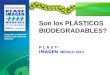 Son los plásticos Biodegradables? Son los PLÁSTICOS BIODEGRADABLES?s plásticos BiodegradaI P L A S T- IMAGEN MÉXICO 2013 dables?