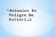 Animales en peligro de extinción en Argentina . Chinchilla de cola larga. Foca de Casco. Guacamayo verde. Pingüino de Penacho Amarillo. Tiburón toro