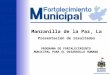 PROGRAMA DE FORTALECIMIENTO MUNICIPAL PARA EL DESARROLLO HUMANO Manzanilla de la Paz, La Presentación de resultados