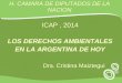 ICAP, 2014 LOS DERECHOS AMBIENTALES EN LA ARGENTINA DE HOY Dra. Cristina Maiztegui H. CAMARA DE DIPUTADOS DE LA NACION