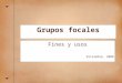 Grupos focales Fines y usos Diciembre, 2008. ¿Qué son los grupos focales? Los grupos focales son fundamentalmente una forma de escuchar y aprender de