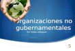 Organizaciones no gubernamentales Por: Felipe velasquez
