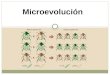 Microevolución. Microevolución (cambios en la estructura genética de las poblaciones ) Se le llama Microevolución al proceso por el que se forman nuevas