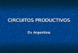CIRCUITOS PRODUCTIVOS En Argentina. Concepto Se denomina circuito productivo a un encadenamiento de eslabones o etapas que en conjunto dan lugar a un