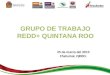 25 de marzo del 2013 Chetumal, QROO.. Agenda reunión de titulares GT-REDD+QROO Presentación de “zonas prioritarias para acciones tempranas REDD+QROO”
