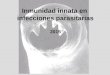 Inmunidad innata en infecciones parasitarias 2015 Alvaro Díaz Cátedra de Inmunología Facultad de Química/DepBio y Facultad de Ciencias/IQB