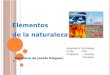 Gentileza de Josefa Diéguez. Elementos de la naturaleza Asignatura: Tecnología Curso : 5ºB Profesora : Carolina Pincheira