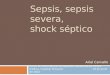 Sepsis, sepsis severa, shock séptico Ariel Carvallo Curso de sistemáticas de guardia, residencia de clínica médica, hospital Pirovano. 19 de junio de 2015