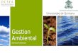 Gestion Ambiental Derecho Ambiental Universidad de Quintana Roo
