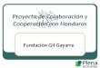 Proyecto de Colaboración y Cooperación con Honduras Fundación Gil Gayarre