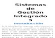 Sistemas de Gestion Integrados (01)