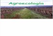 Conceptos de Agroecologia Clase 3