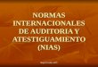 Normas Internacionales de Auditoria y Atestiguamiento