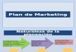 Plan de Marketing (3)