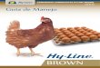 Hi Line Brown Manual de produccio de gallinas ponedoras