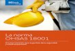 LIBRO - La Norma OHSAS 18001. Una Herramienta Para La Gestión de La Seguridad y Salud Ocupacional