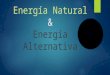 Energía Natural y Alternativa