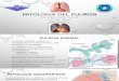 Anatomia Patologica - Pulmones