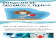 Trabajo Donacion de Organos - Néstor Peña, Petru Schipor, Álvaro Gilmartin
