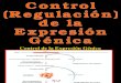 10 Regulacion Genica Genes VIII